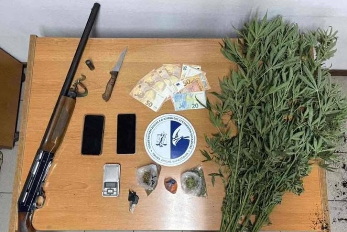 Εντοπίστηκε φυτεία με 267 δενδρύλλια κάνναβης στη Μεσσηνία – Τρεις συλλήψεις