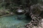 Βέροια: Νεκρή 18χρονη στον καταρράκτη του Δερματά, σήμερα θα είχε γενέθλια – Εξετάζεται πώς έγινε η τραγωδία