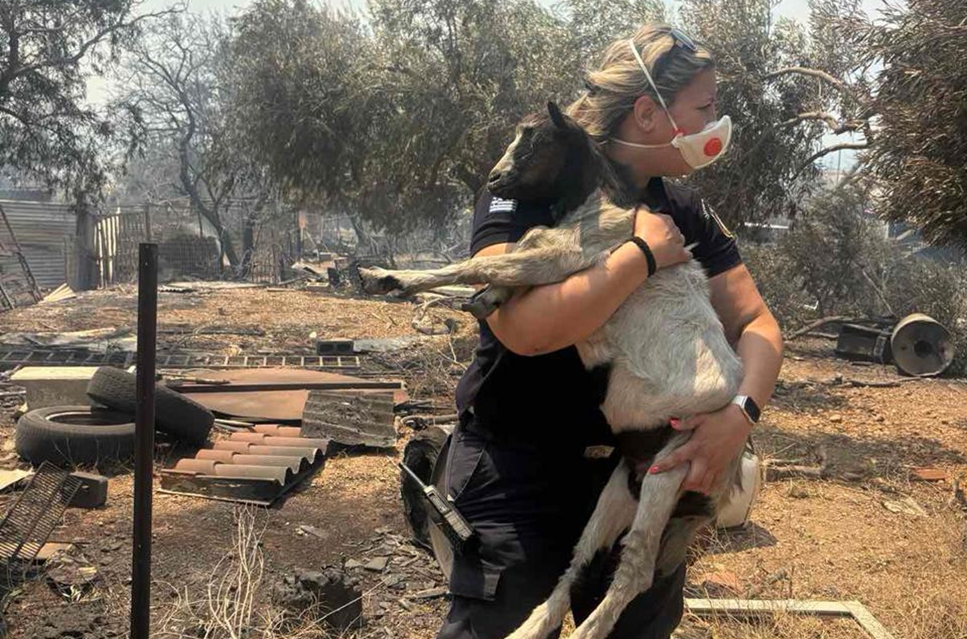 Η «πύρινη Οδύσσεια» των ζώων: Δεκάδες σώθηκαν από τις φλόγες και βρήκαν καταφύγιο στα Βίλια – η φωτογραφία της ΕΛ.ΑΣ.