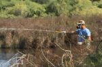 Έξαρση του ιού του Δυτικού Νείλου στην Αττική: πώς η κακοκαιρία Daniel μπορεί να την εξηγήσει