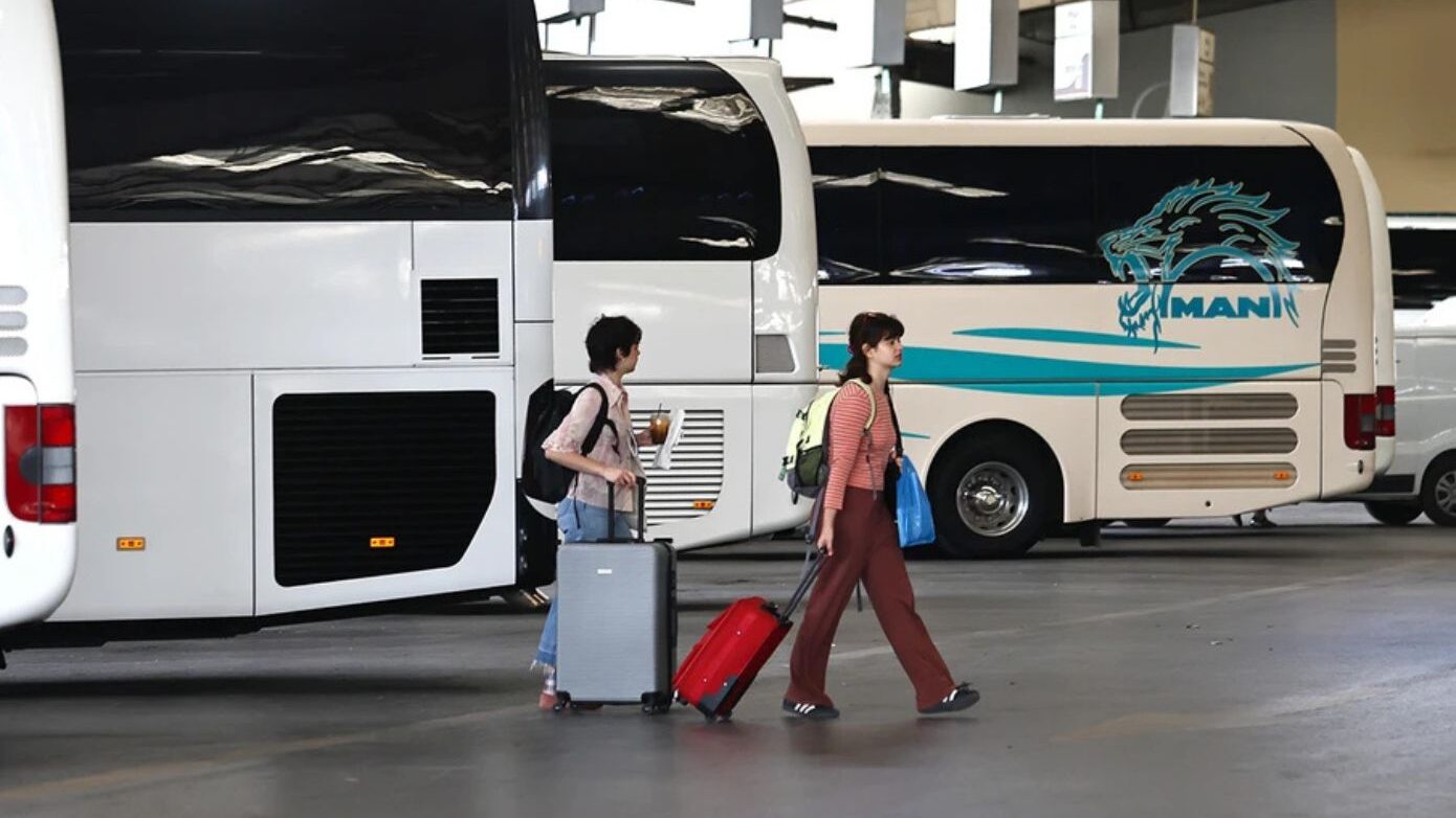 ΚΤΕΛ Μαγνησίας: Καταγγελία για την αντιμετώπιση επιβάτιδας που ταξίδευε με τη γάτα της – «Αντιμετωπίστηκε με απαράδεκτο τρόπο»