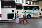 ΚΤΕΛ Μαγνησίας: Καταγγελία για την αντιμετώπιση επιβάτιδας που ταξίδευε με τη γάτα της – «Αντιμετωπίστηκε με απαράδεκτο τρόπο»