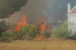 Μάχη με τις φλόγες για να σωθεί οικισμός: Πυροσβέστες, εθελοντές και κάτοικοι έγιναν ανθρώπινο τείχος