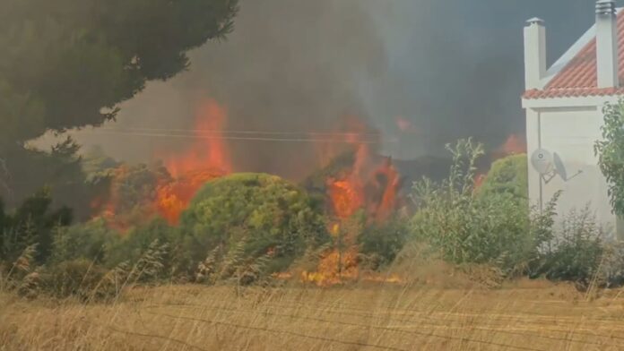 Μάχη με τις φλόγες για να σωθεί οικισμός: Πυροσβέστες, εθελοντές και κάτοικοι έγιναν ανθρώπινο τείχος