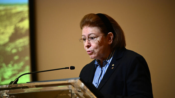 Λ. Μενδώνη: Επέκταση και αναβάθμιση του αρχαιολογικού μουσείου Κιλκίς, ειδική σεισμική προστασία για τον Κούρο της Ευρωπού