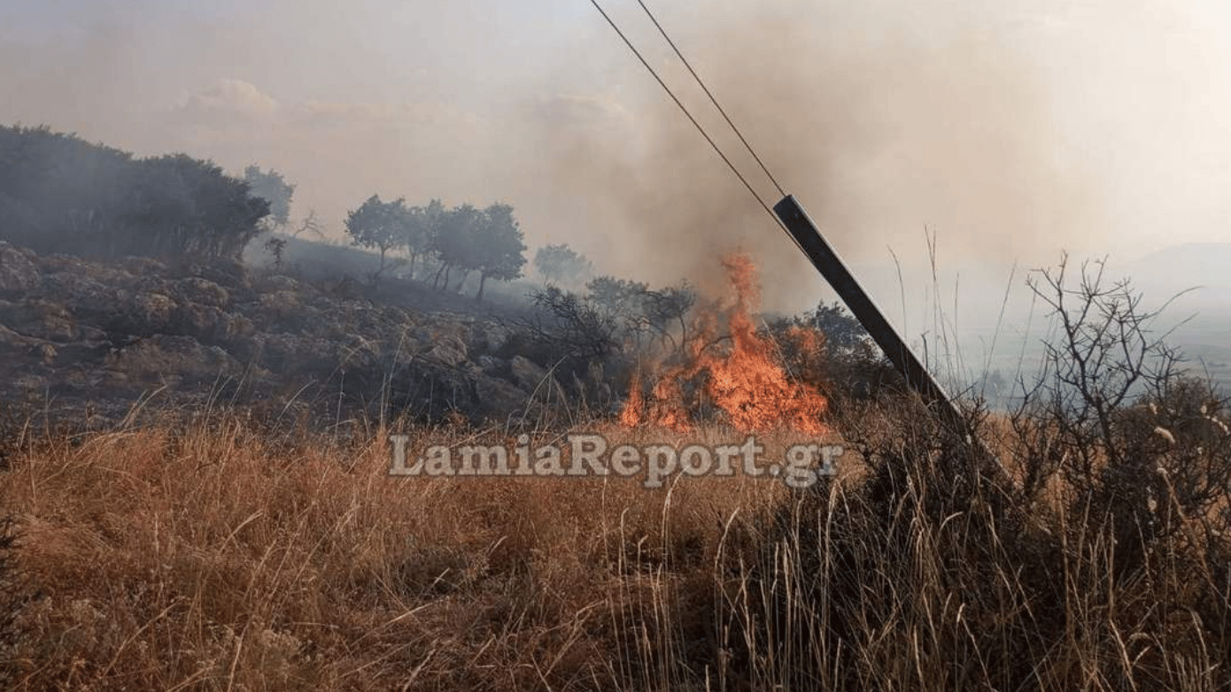 Φωτιά στη Φθιώτιδα: Πυρκαγιά κοντά στο Βαθύκοιλο, σηκώθηκαν τα PZL από τη Λαμία