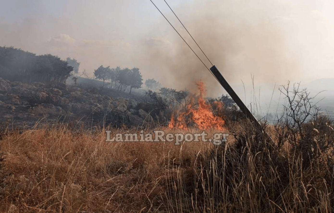 Φωτιά στη Φθιώτιδα: Πυρκαγιά κοντά στο Βαθύκοιλο, σηκώθηκαν τα PZL από τη Λαμία