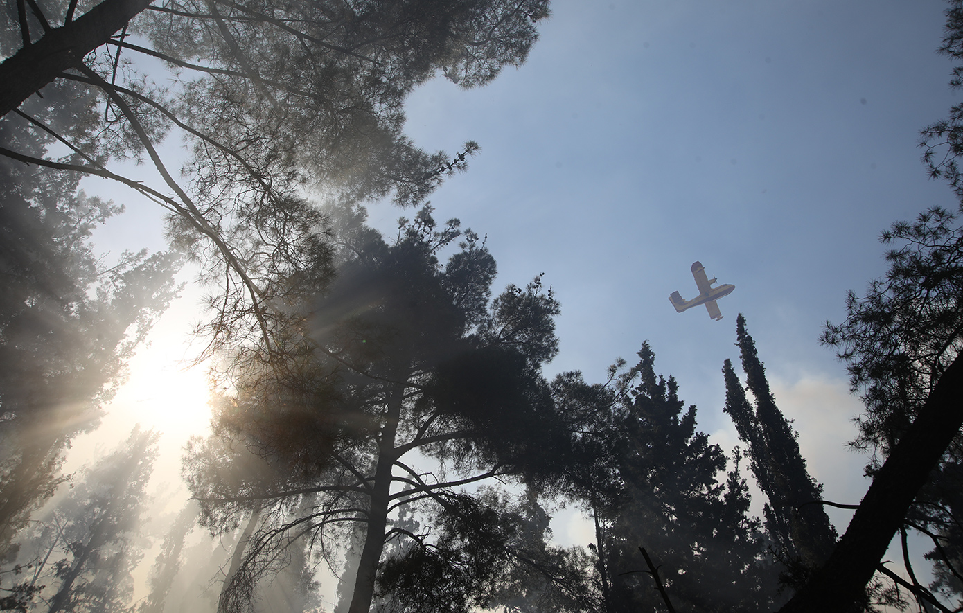 Πυρκαγιά στο Καρύδι Σητείας: οριοθετημένη και χωρίς ενεργό μέτωπο