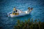 Αλιευτικός τουρισμός: Νέα πηγή εισοδήματος για τους αλιείς και εμπειρία για τους επισκέπτες
