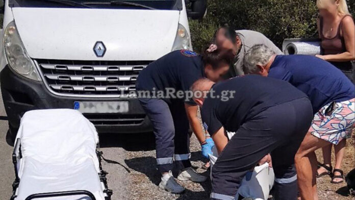 Φθιώτιδα: Αγριογούρουνο πετάχτηκε μπροστά σε μοτοσικλετιστή και τον έριξε στην άσφαλτο – Τον έσωσε ο εξοπλισμός του