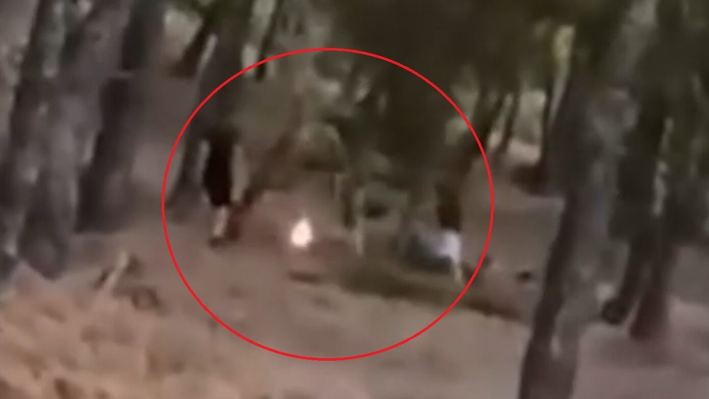 Τρεις 13χρονοι ταυτοποιήθηκαν για φωτιές σε δάσος στα Βριλήσσια με «challenge»