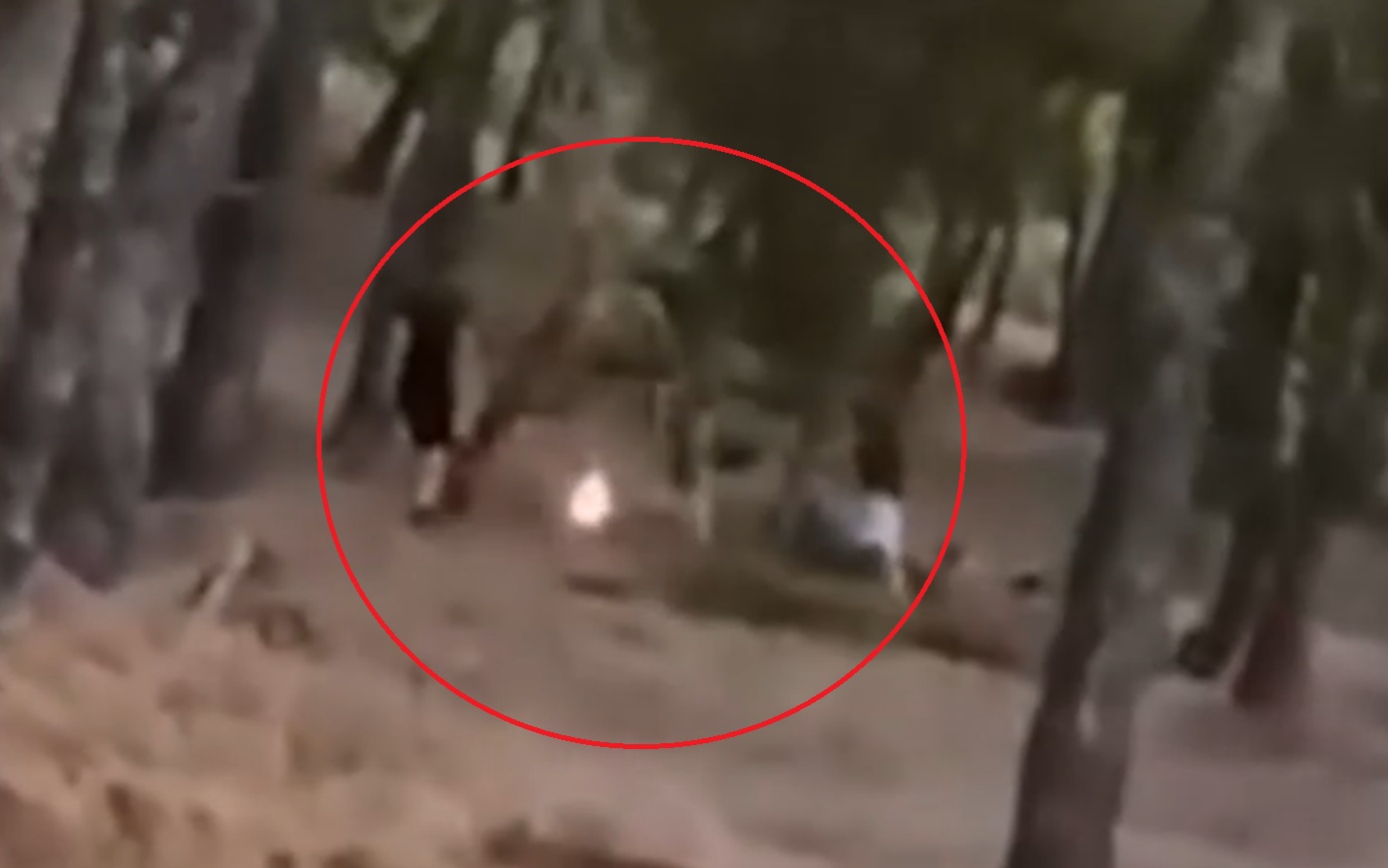 Τρεις 13χρονοι ταυτοποιήθηκαν για φωτιές σε δάσος στα Βριλήσσια με «challenge»