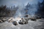 Χαλκιδική: Οι μεγάλες πυρκαγιές των τελευταίων χρόνων και η ιδιαιτερότητα της περιοχής