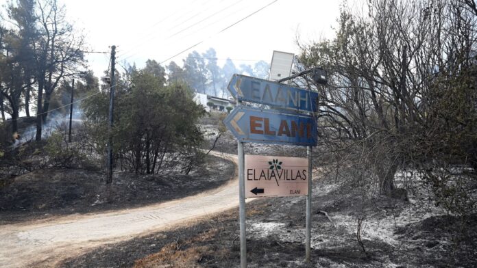 Πυρκαγιά στη Χαλκιδική στο επίκεντρο των βαλκανικών αγορών – Χιλιάδες τουρίστες ανησυχούν για τις θερινές διακοπές τους