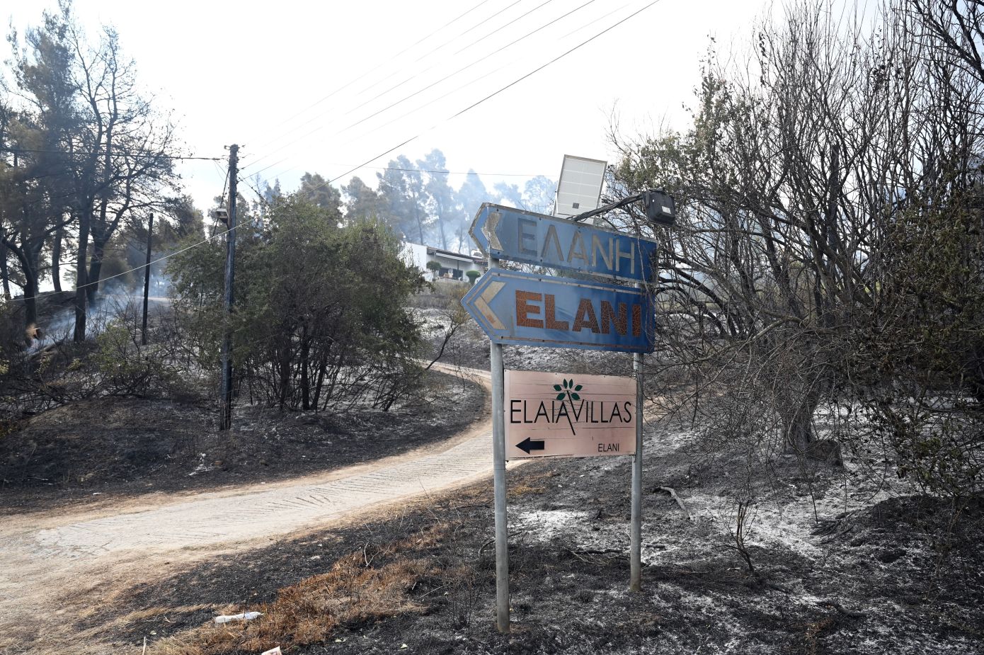 Πυρκαγιά στη Χαλκιδική στο επίκεντρο των βαλκανικών αγορών – Χιλιάδες τουρίστες ανησυχούν για τις θερινές διακοπές τους