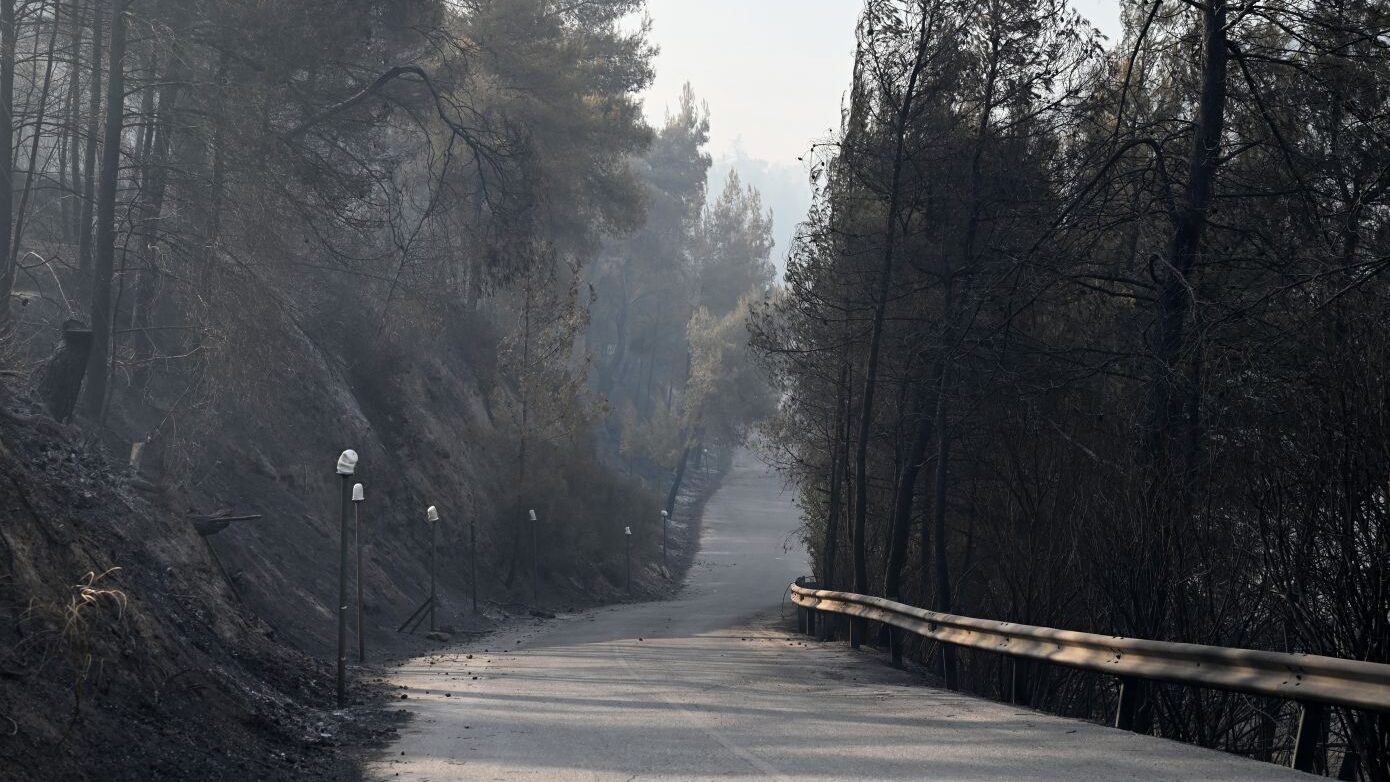 Απαγόρευση κυκλοφορίας σε δασικές περιοχές της Χαλκιδικής σε ισχύ και τον Δεκαπενταύγουστο