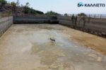 Ζαρκάδι εγκλωβίστηκε σε δεξαμενή νερού κοντά στην Κοζάνη – Επιχείρηση διάσωσης από την Καλλιστώ