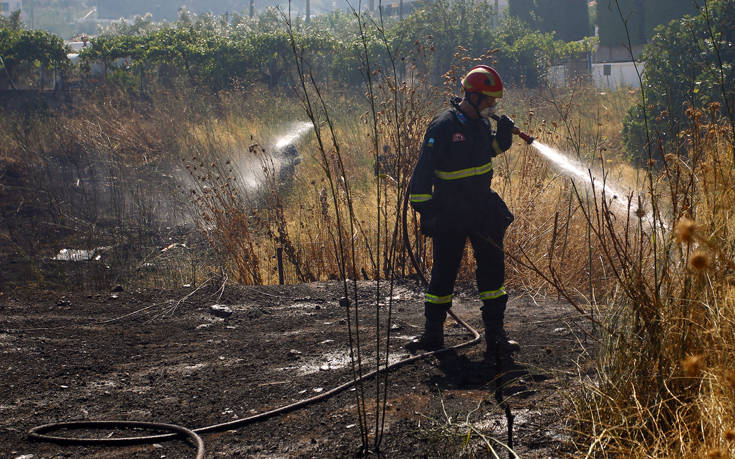 Φωτιά στο Νησί Ιωαννίνων: Με καραβάκια και πλωτή πλατφόρμα μεταφέρονται οι πυροσβεστικές δυνάμεις