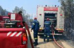 Πυρκαγιά στα Τουρκοβούνια: Τρεις συλλήψεις ανηλίκων