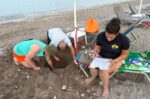 Ρόδος: Εκκολάφθηκαν 79 χελωνάκια καρέτα-καρέτα κάτω από ξαπλώστρα τουριστών