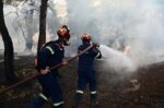 Πυρκαγιά στην Πρέβεζα: Μεγάλη κινητοποίηση της Πυροσβεστικής στο Θεσπρωτικό