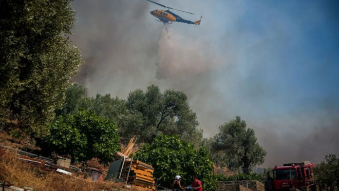 Σκύρος: Ταυτοποιήθηκε ο υπαίτιος για τις πυρκαγιές, εκδόθηκε ένταλμα σύλληψης σε βάρος του