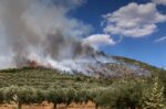 Εύβοια: 40χρονος ομολόγησε τρεις εμπρησμούς και επικαλέστηκε τη συμπεριφορά συγχωριανών του