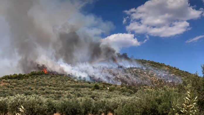 Εύβοια: 40χρονος ομολόγησε τρεις εμπρησμούς και επικαλέστηκε τη συμπεριφορά συγχωριανών του