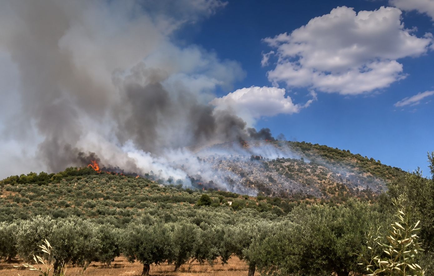 Εύβοια: 40χρονος ομολόγησε τρεις εμπρησμούς και επικαλέστηκε τη συμπεριφορά συγχωριανών του