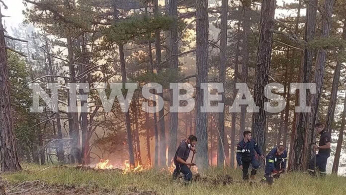 Φωτιά στην Κόνιτσα: Σε τροχιά ύφεσης, αρκετά βελτιωμένη η κατάσταση χάρη στην προσπάθεια δασοκομάντος και δασεργατών