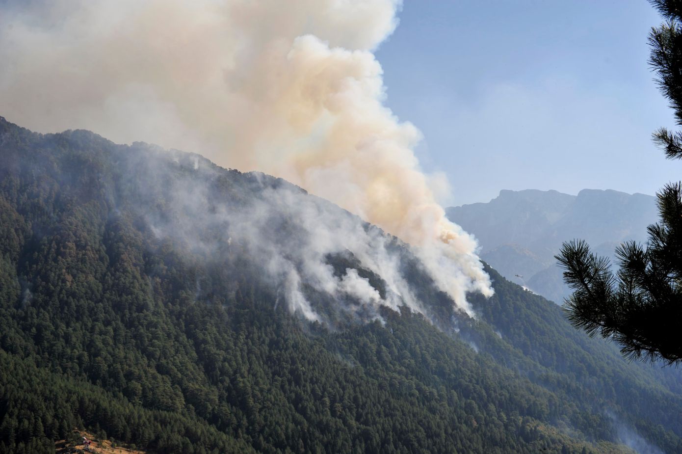 Κόνιτσα: Βελτιωμένη η εικόνα της φωτιάς στην Τραπεζίτσα, 6.290 στρέμματα έγιναν στάχτη, συνεχίζουν να επιχειρούν τα εναέρια
