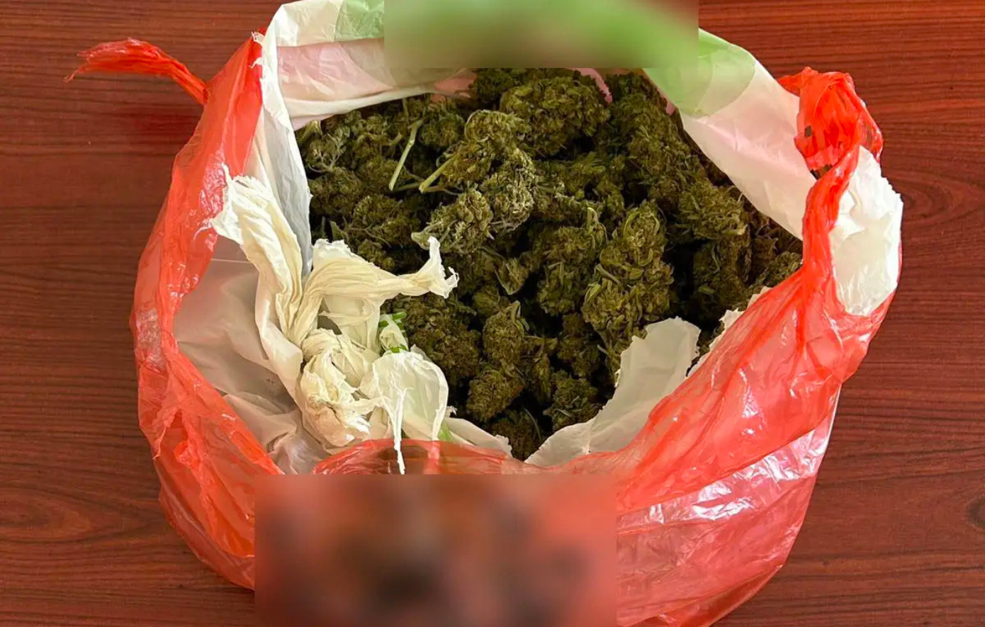 17χρονος συνελήφθη με πάνω από μισό κιλό κάνναβης – Δικογραφία για διακίνηση ναρκωτικών στη Μεταμόρφωση