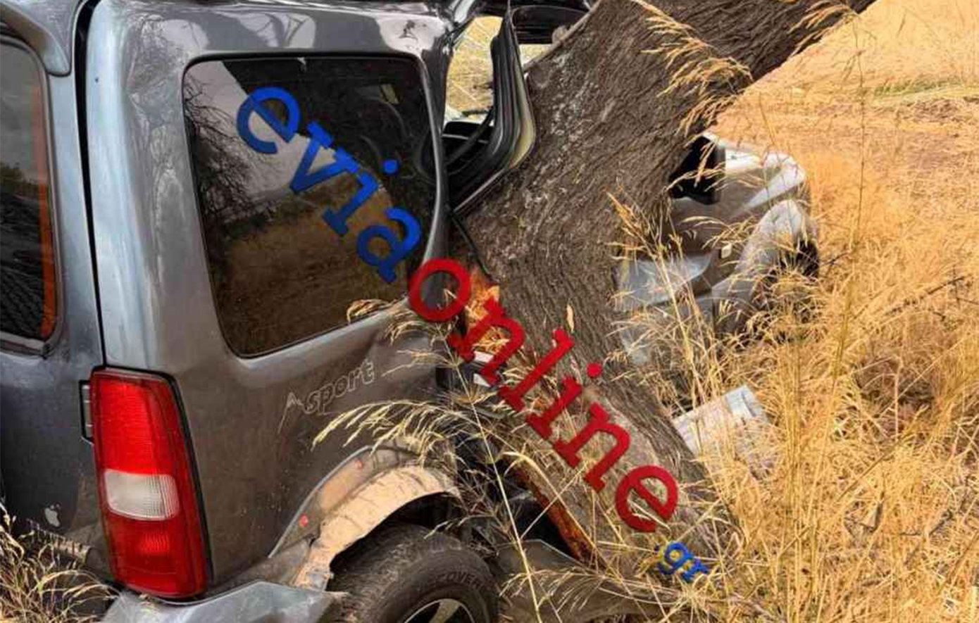 Ερέτρια: Τζιπ προσέκρουσε σε δέντρο – Διασωληνωμένος ο 35χρονος οδηγός μετά το σοβαρό τροχαίο