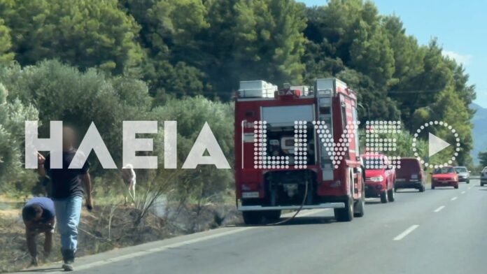 Ηλεία: Δύο πυρκαγιές μέσα σε λίγα λεπτά – Επέμβαση της Πυροσβεστικής