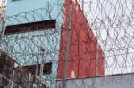 Φυλακές Αυλώνα: Έξι συλλήψεις για ναρκωτικά και κινητά τηλέφωνα – Ανάμεσά τους και σωφρονιστικός υπάλληλος