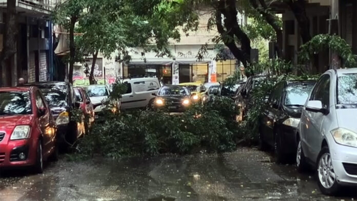 Εξάρχεια: Πτώση δέντρου λόγω κακοκαιρίας και διακοπή κυκλοφορίας στη συμβολή της Διδότου με τη Χαριλάου Τρικούπη