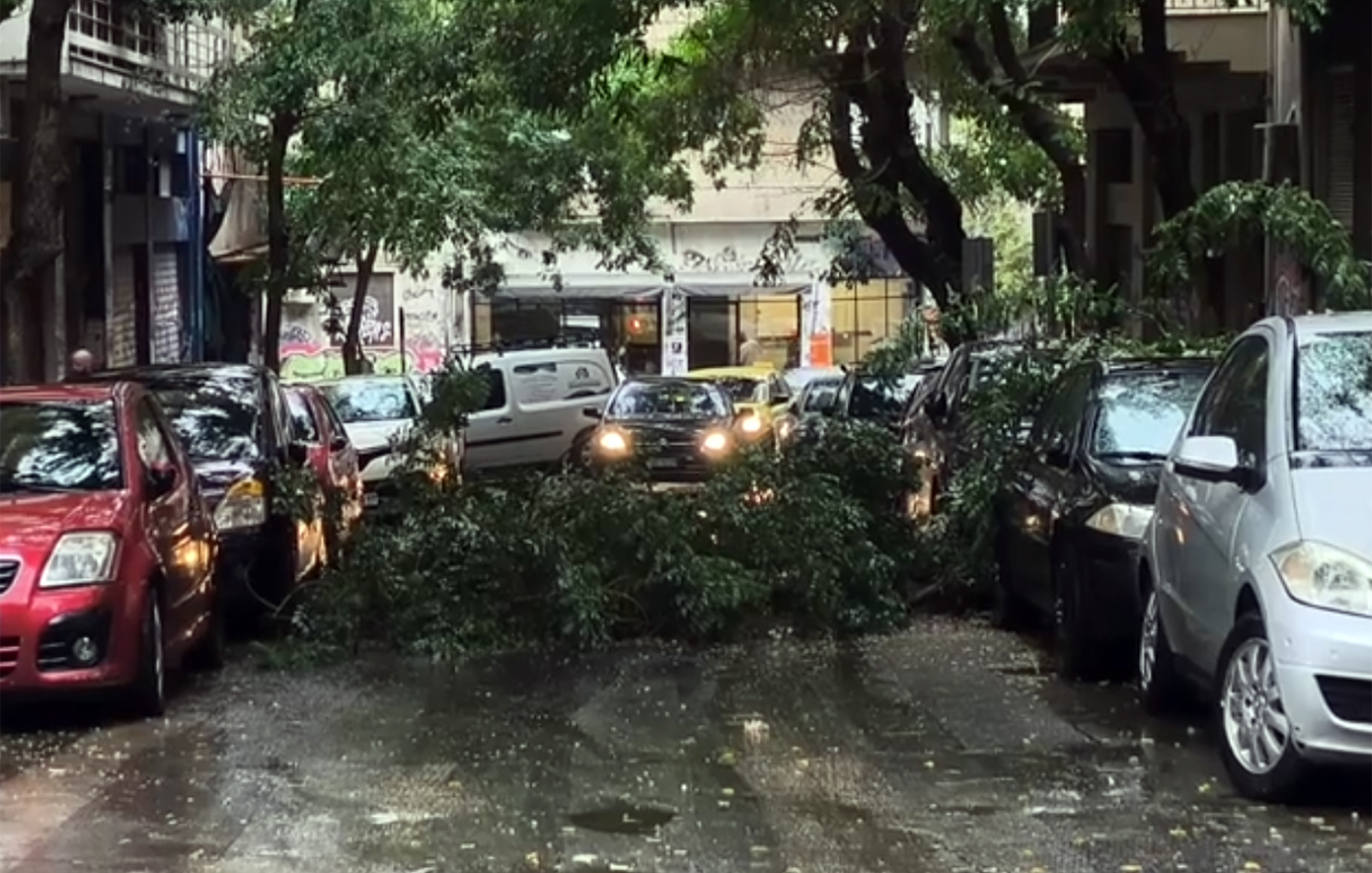 Εξάρχεια: Πτώση δέντρου λόγω κακοκαιρίας και διακοπή κυκλοφορίας στη συμβολή της Διδότου με τη Χαριλάου Τρικούπη