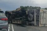 ΒΟΑΚ: Νταλίκα ανατράπηκε στις Σίσες – Νεκρά γουρούνια στην άσφαλτο