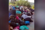 Νότια Κέρκυρα: Υγειονομική «βόμβα» λόγω των σκουπιδιών, ανήσυχοι και οργισμένοι οι κάτοικοι