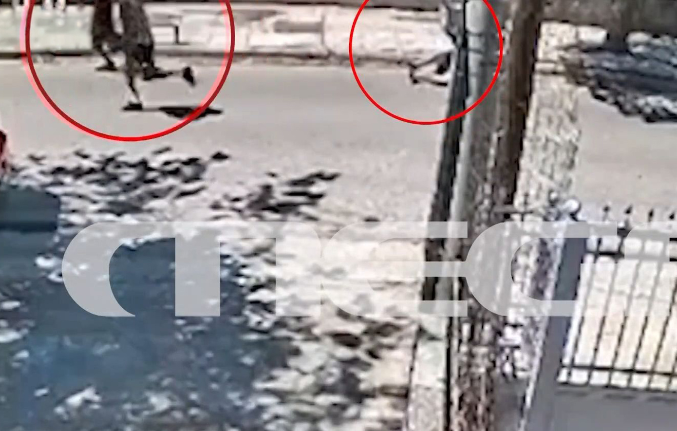 Κηφισιά και Μαρούσι: Η ΕΛ.ΑΣ. συνέλαβε δύο νεαρούς για βίαιες αρπαγές αλυσίδων από περαστικούς