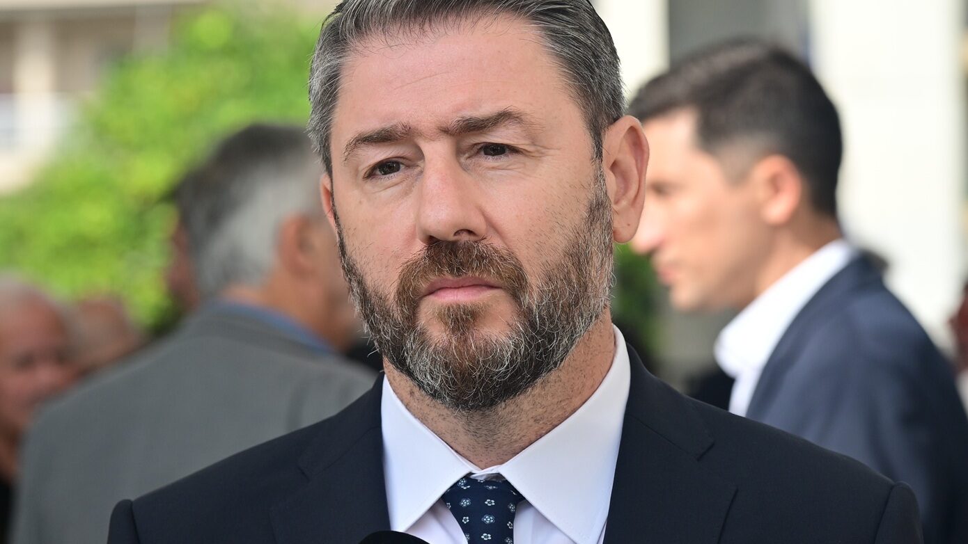 Νίκος Ανδρουλάκης για Φώφη Γεννηματά: «Η Φώφη Γεννηματά μάς λείπει πολύ – Κράτησε το ΠΑΣΟΚ όρθιο, κάτω από δύσκολες συνθήκες»