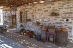 South Aegean Open Farm Days 2026: Τα αγροκτήματα του Νοτίου Αιγαίου υποδέχονται το κοινό
