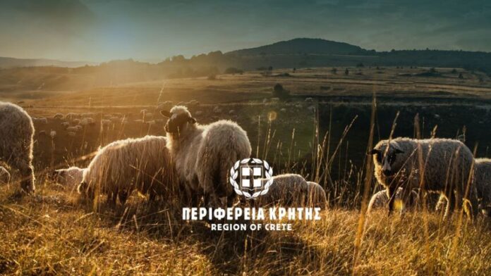 Περιφέρεια Κρήτης: Παρατείνονται τα προληπτικά μέτρα για την ευλογιά των αιγοπροβάτων