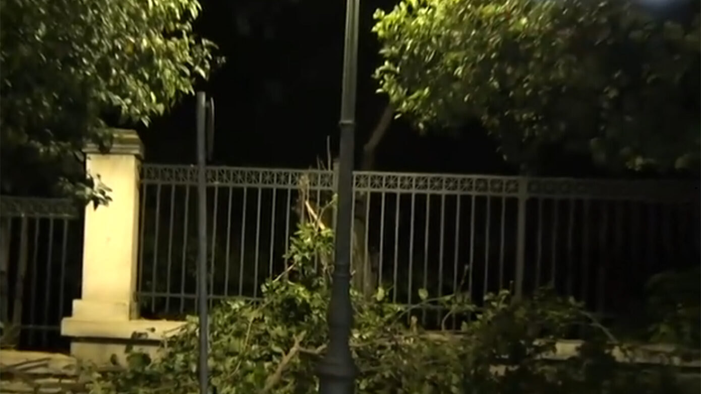 Ηρώδου Αττικού: Έξι πυροσβέστες με δύο οχήματα και συνεργεία του Δήμου Αθηναίων απομάκρυναν το δέντρο που έπεσε