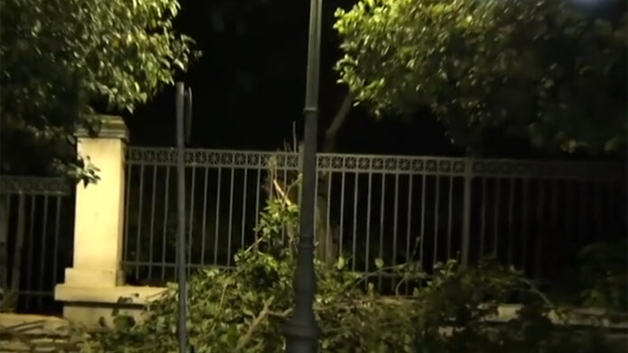 Ηρώδου Αττικού: Έξι πυροσβέστες με δύο οχήματα και συνεργεία του Δήμου Αθηναίων απομάκρυναν το δέντρο που έπεσε