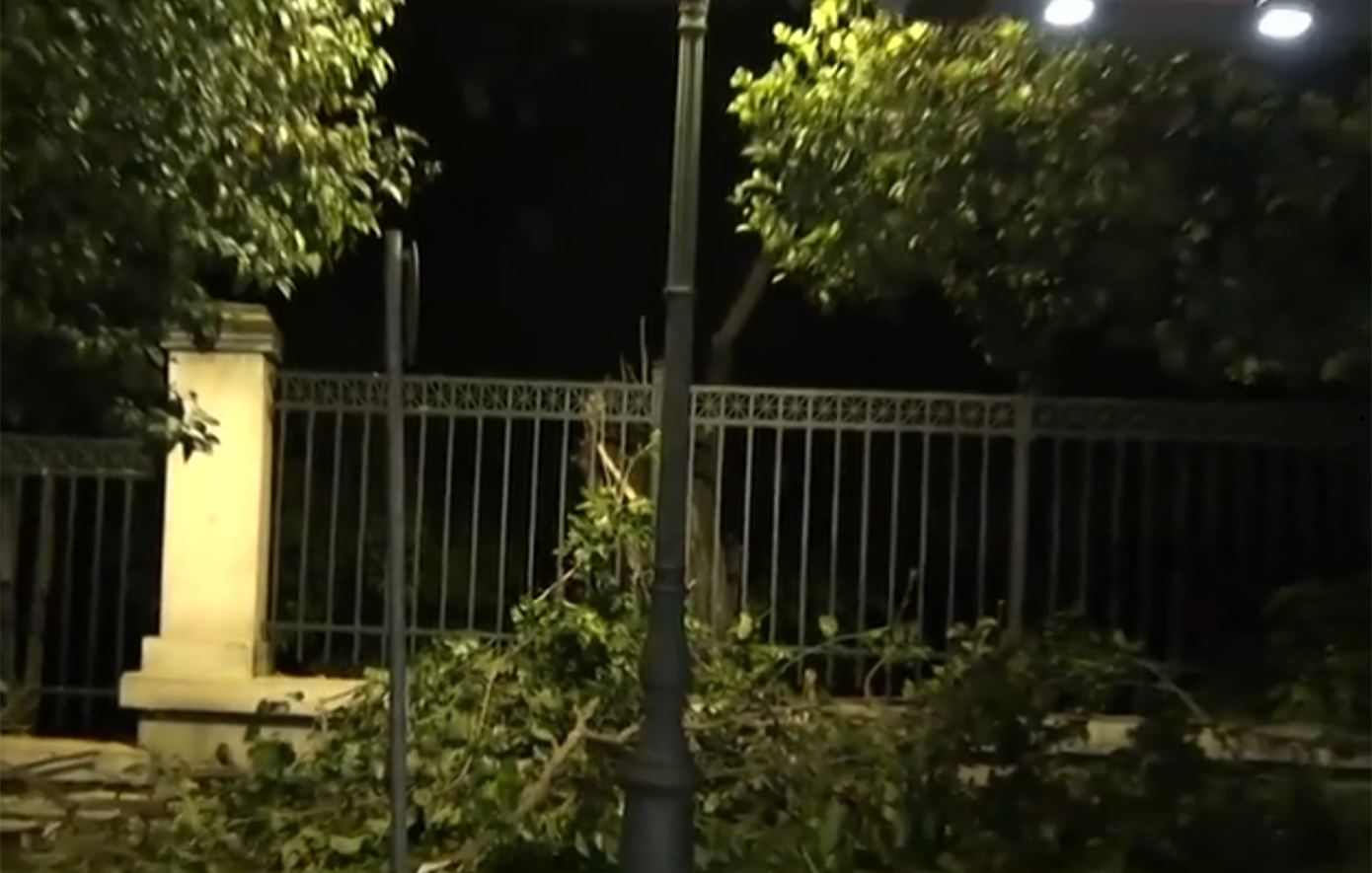 Ηρώδου Αττικού: Έξι πυροσβέστες με δύο οχήματα και συνεργεία του Δήμου Αθηναίων απομάκρυναν το δέντρο που έπεσε