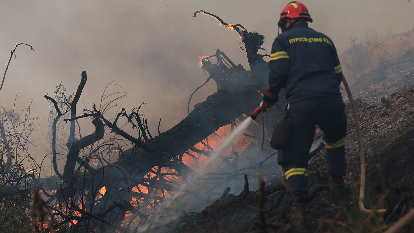 Συλλήψεις για πυρκαγιές από αμέλεια σε Ζάκυνθο, Φθιώτιδα, Τρίκαλα, Αργολίδα και Εύβοια