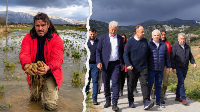 Οροπέδιο Λασιθίου: «Δεν συγκομίσαμε ούτε το 20%» – Χάθηκε στη λάσπη η σοδειά, κρίσιμη η επόμενη χρονιά και τα μέτρα στήριξης