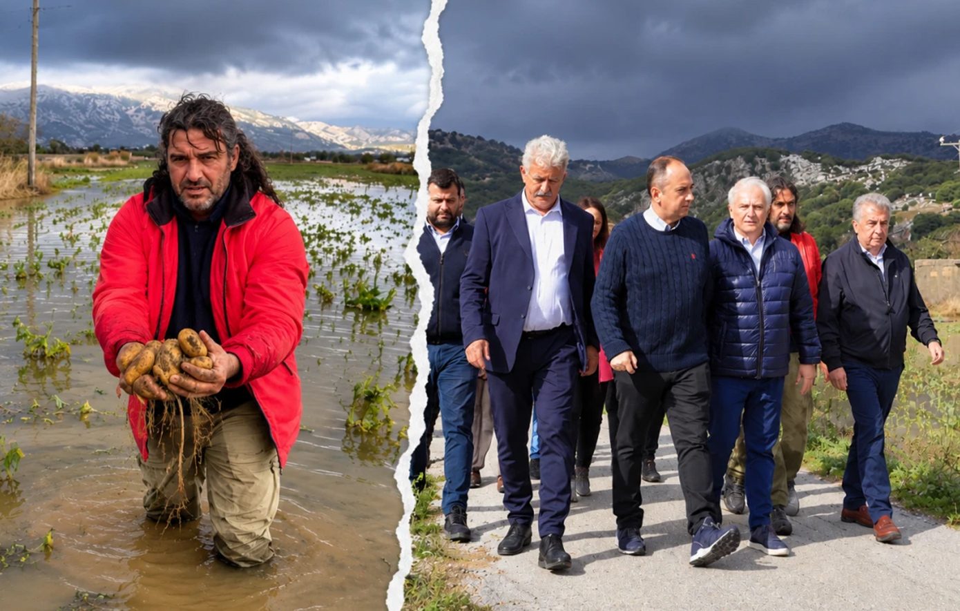 Οροπέδιο Λασιθίου: «Δεν συγκομίσαμε ούτε το 20%» – Χάθηκε στη λάσπη η σοδειά, κρίσιμη η επόμενη χρονιά και τα μέτρα στήριξης