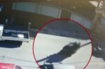 Ελευσίνα: Μαχαίρια, σιδερογροθιές και εθνικιστικά έντυπα βρέθηκαν στα σπίτια των δύο κατηγορουμένων για την επίθεση στον 32χρονο